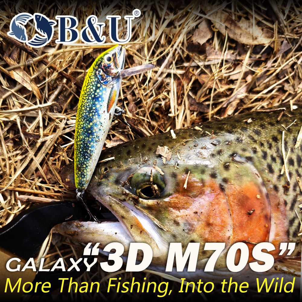 B&U Fishing Lures Sinking Minn - đánh giá và giá Fishing Lure Swimbait