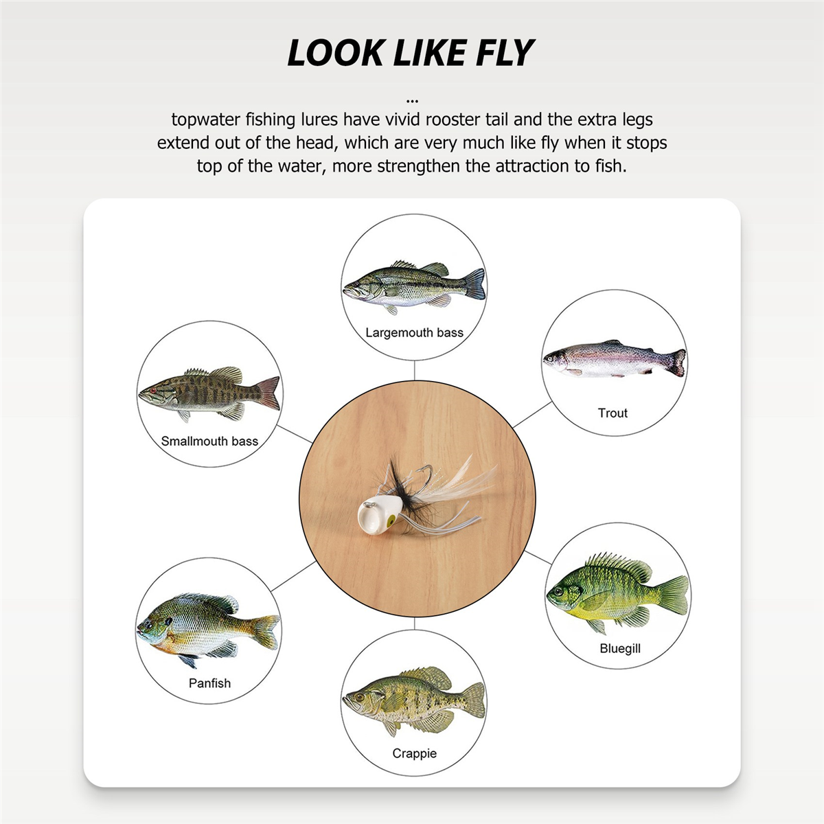 10PCS Fly Fishing Poppers,Topw - đánh giá và giá Fishing Lure Topwater